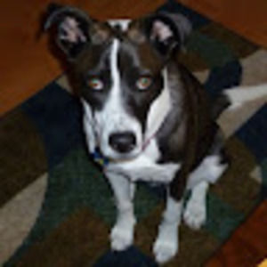 Meet your Posher, Kalynn